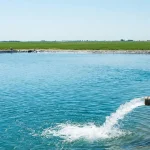 الفرق بين 50 هرتز و 60 هرتز في مضخات غاطس فرات